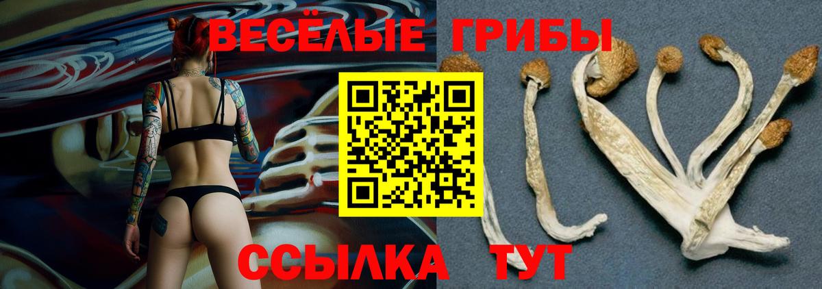 Псилоцибиновые грибы мухоморы Крымск